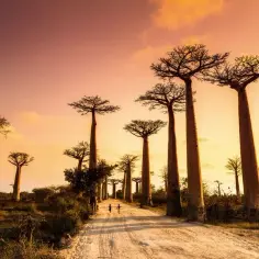 Najpiękniejsze atrakcje Madagaskaru, które musisz zobaczyć podczas podróży