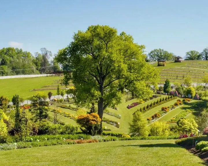 Kiedy jechać do arboretum Wojsławice, aby nie przegapić piękna?